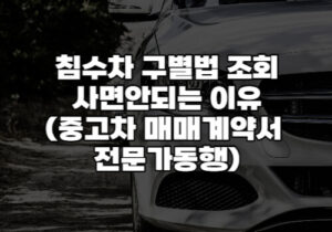 침수차 구별법