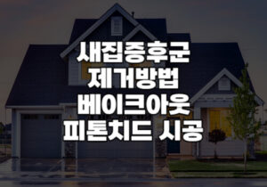 새집증후군 제거방법