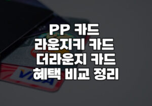 pp 라운지키 더라운지 카드