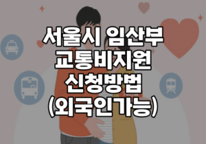 서울시임산부교통비지원