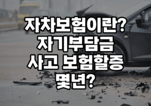 자차보험이란