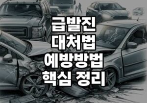 급발진 대처법 예방방법