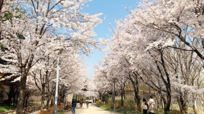 2. 서울숲