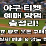 야구