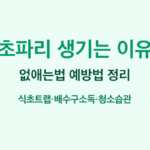초파리 생기는 이유 썸네일