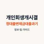 개인회생 개시결정 대출 변제금 대출과